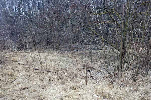 поліція затримала мешканця за підозрою в умисному вбивстві