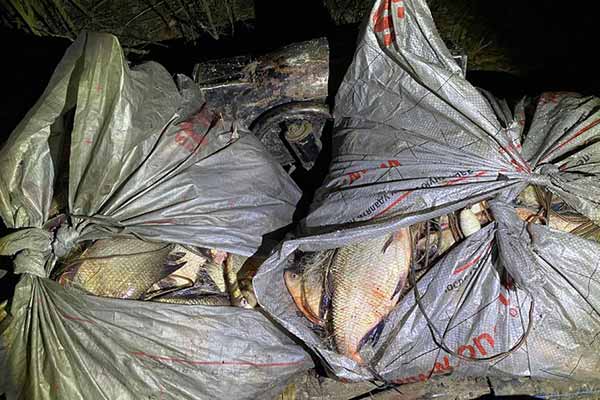 На Полтавщині браконьєр наловив риби на понад два мільйони гривень