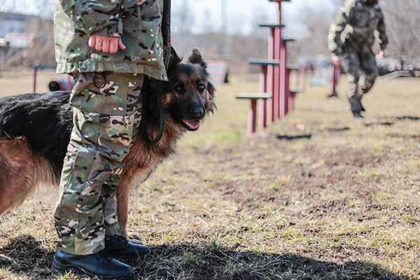 Дмитро Лунін ознайомився з роботою кінологічного центру поліції