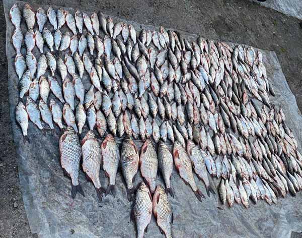 На Полтавщині затримали бракон’єра з уловом на 2 млн гривень