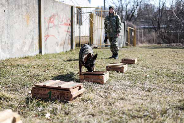 Дмитро Лунін ознайомився з роботою кінологічного центру поліції