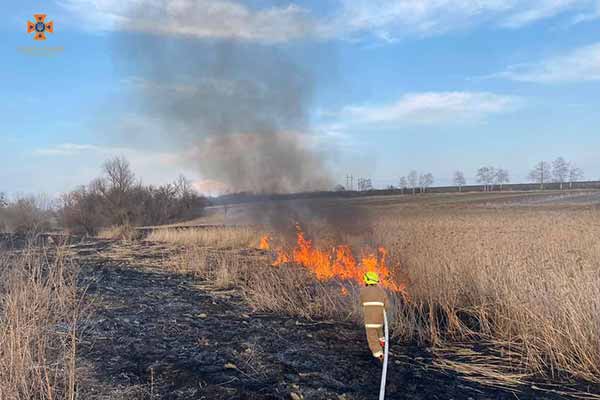 На Полтавщині за добу сталося майже пів сотні загорань