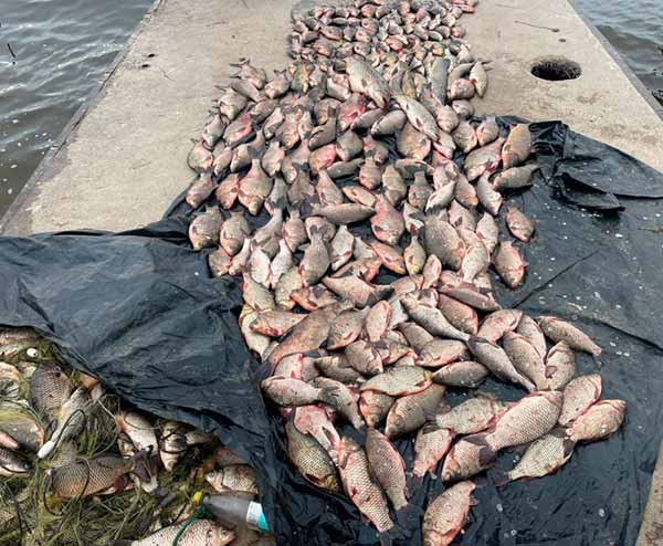На Полтавщині водна поліція викрила промислових рибалок у браконьєрств