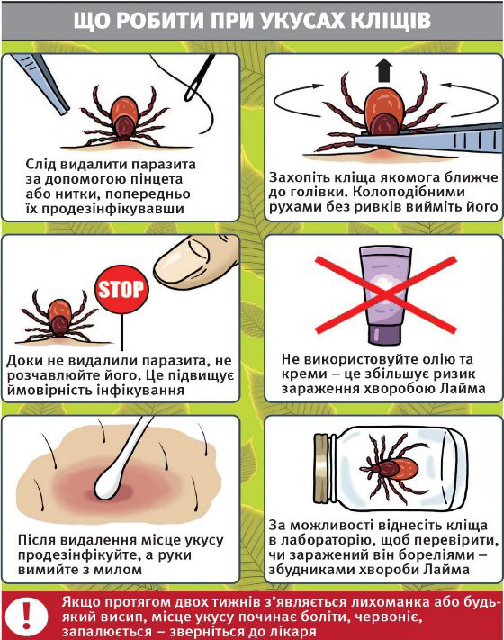 Хвороба Лайма