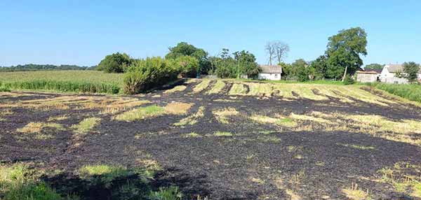 На Полтавщині під час спалення сухої трави загинув літній чоловік