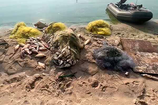 браконьєри