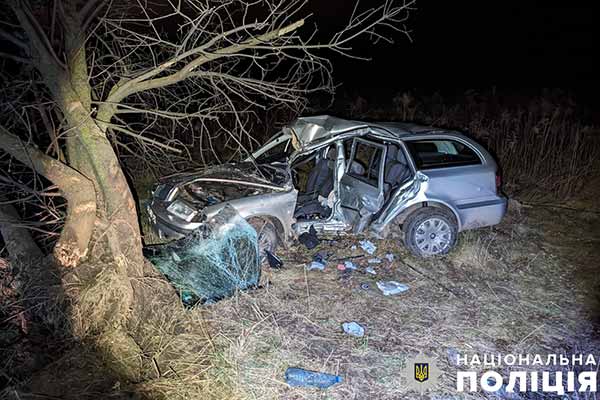 На Полтавщині автомобіль SKODA OCTAVIA влетів у дерево