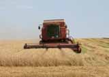 На Полтавщині прогнозують валовий збір ранніх зернових та зернобобових культур – близько 1 млн. 15 тис.тонн