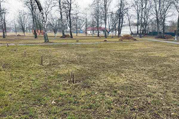 На Гребінківщині триває місячник озеленення та благоустрою