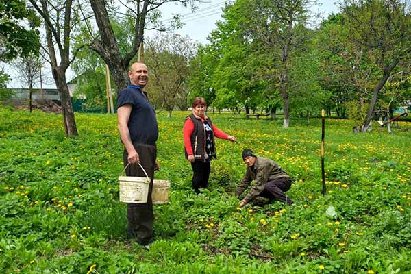 На Гребінківщині висадили алею молодих дерев