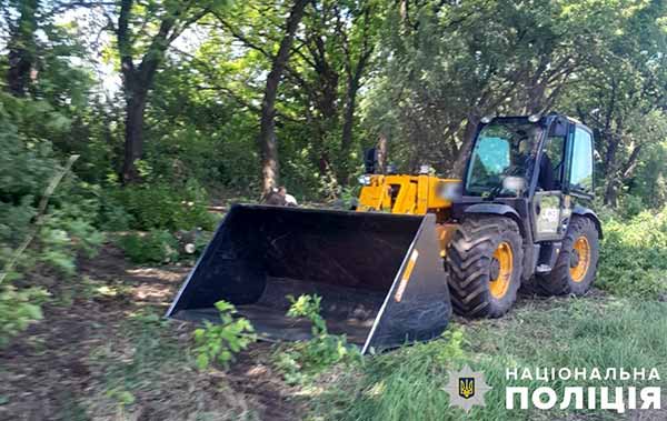 На Полтавщині п'ятеро зловмисників незаконно вирубували дерева