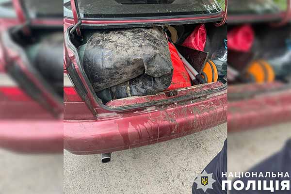 На Полтавщині водій перевозив понад 20 кілограмів риби без документів