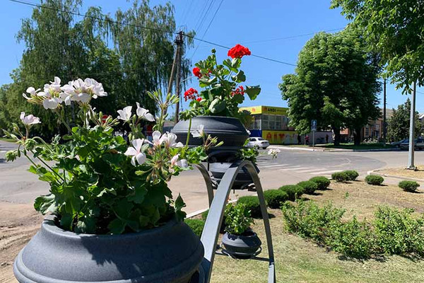 Благоустрій та озеленення в Пирятині