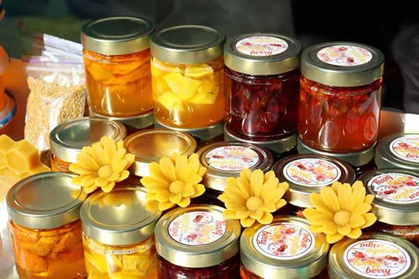 На Полтавщині відбувся Фестиваль здоров’я «Свято меду»