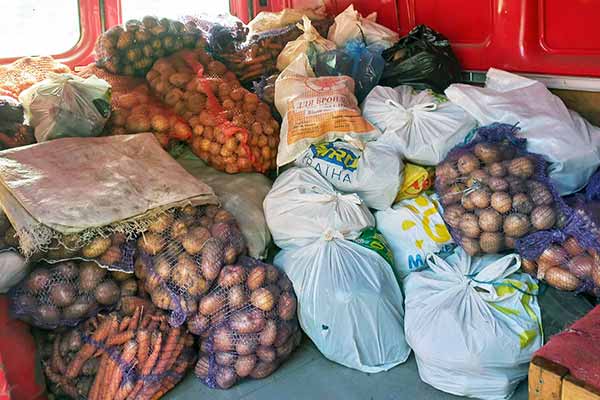В Оржиці зібрали понад одинадцять тонни овочів для лікарні