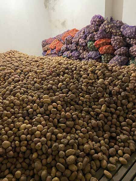 В Оржиці зібрали понад одинадцять тонни овочів для лікарні