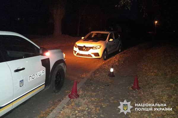 У Лубнах поліцейські оперативно затримали двох підлітків,...