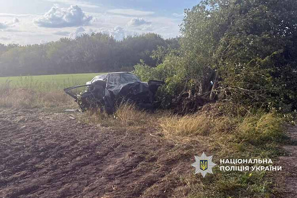 ДТП, в якій постраждав водій