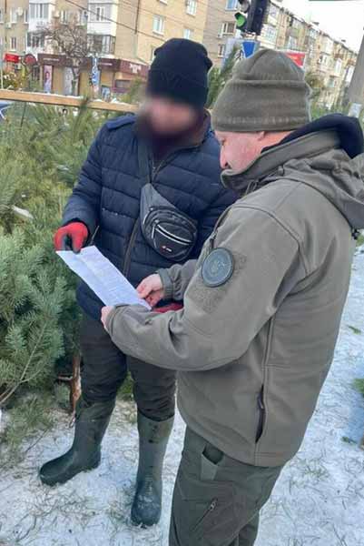На Полтавщині виявили незаконний продаж ялинок