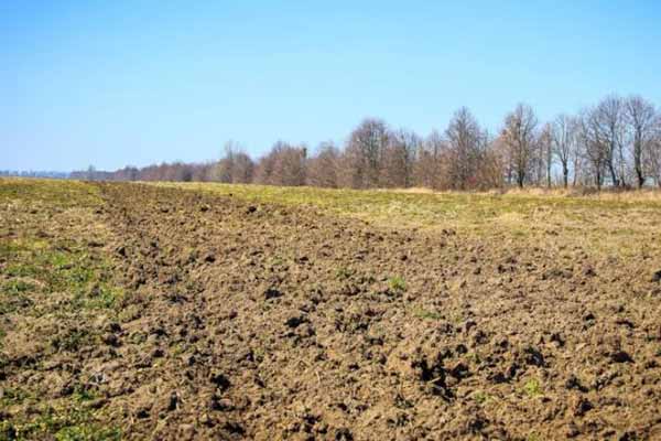 На Полтавщині прокуратура пред’явила дві позовні заяви пр...