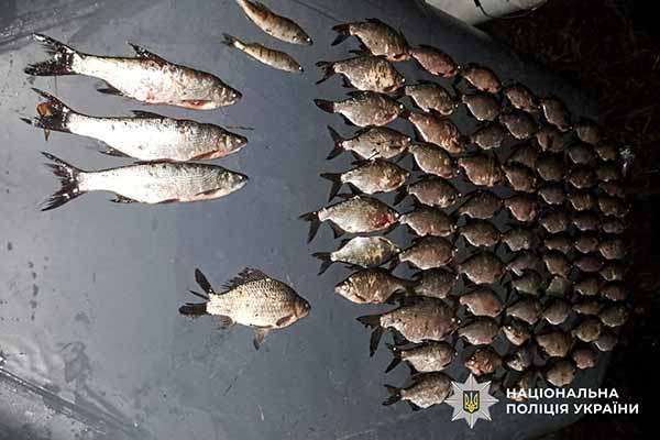 незаконний рибний промисел
