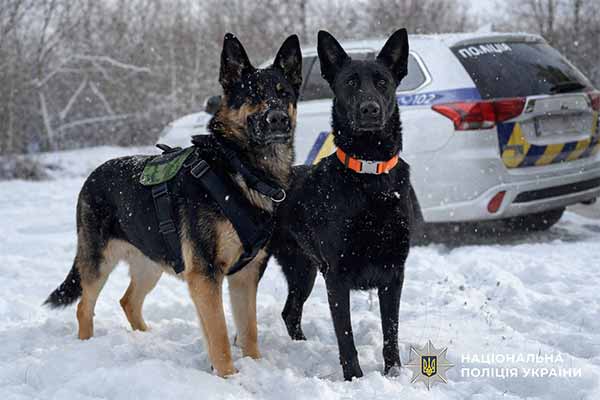 На Полтавщині службові собаки допомогли правоохоронцям оп...