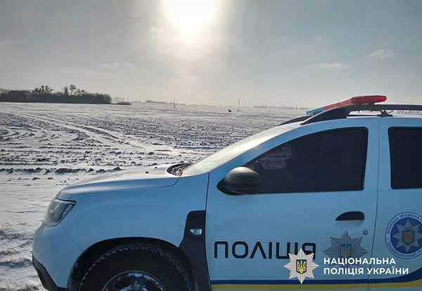 поліцейські відшукали зниклого коня