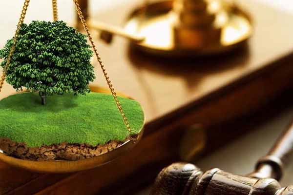 Пирятинській громаді повернули 16 га земель сільськогоспо...