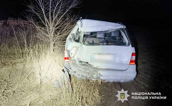 неподалік села Вільшанка в ДТП травмувалося двоє людей