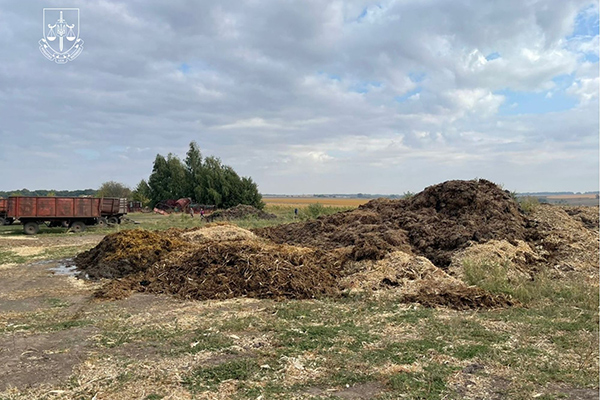 Майже мільйон гривень шкоди: на Миргородщині обвинувачуют...