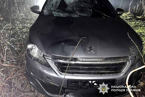 ДТП, унаслідок якої загинула пішохідка