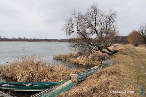 Рибалки Гребінківщини просять допомоги у Полтаварибохорони