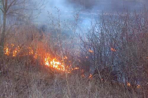  На Полтавщині за добу вогнеборці 12 разів ліквідовували пожежі на відкритій території 