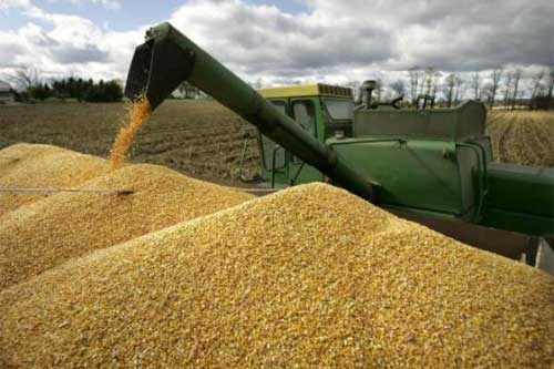  Аграрії Полтавщини намолотили 2 мільйони тонн <b>зерна</b> 