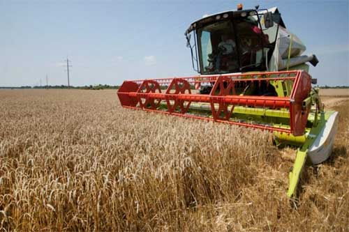 На Полтавщині вже зібрано 37 тисяч тонн зерна