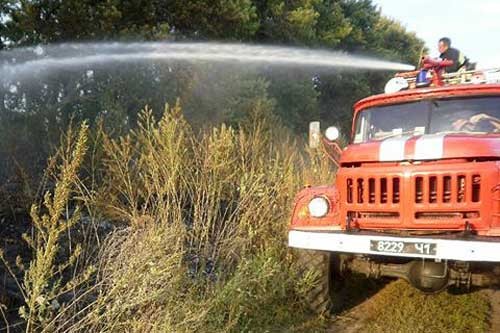 На Полтавщині вогонь знищив 200 кв.м. лісосмуги