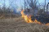  Вогнем знищено <b>суху</b> <b>траву</b> на території Тарасівської сільської ради, Гребінківського району 