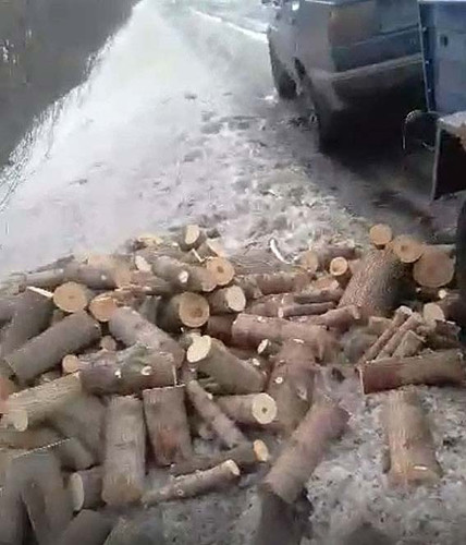 На Гребінківщині мешканець Глобино займався випилюванням деревини в лі
