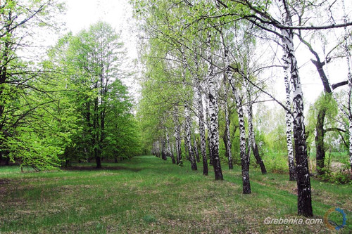 Гребінківщина. Природа Гребінківщина. Природа