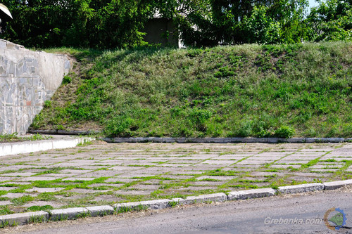 У Гребінці невідомі покрали біля пам'ятника нещодавно посаджені туї