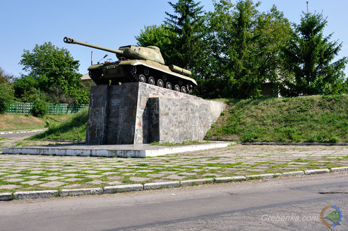 У Гребінці невідомі покрали біля пам'ятника нещодавно посаджені туї