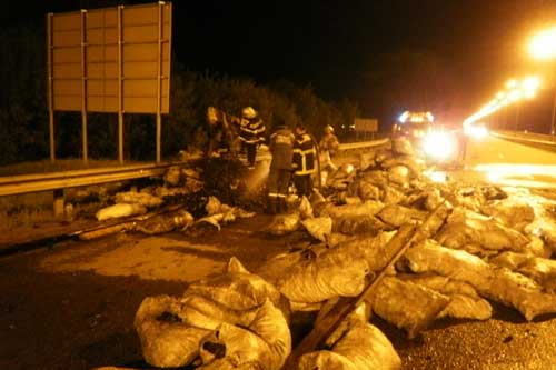  На Пирятинщині горів причіп вантажівки з деревним вугіллям 