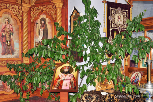 У Гребінці відзначили Трійцю