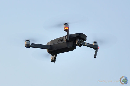 Гребінка, Випуск-2017