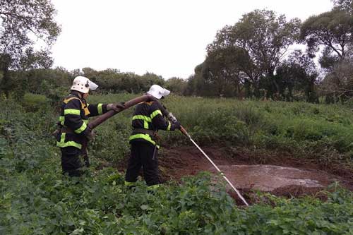 Вчора на Пирятинщині горів торф