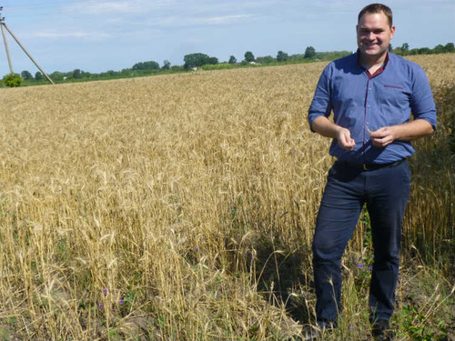 В Гребінківському районі триває збирання ранніх зернових