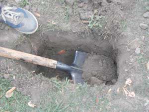 На вулицях Гребінки з'явились нові сміттєві урни