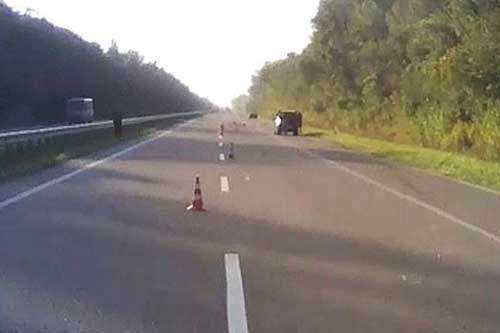 Поліцією Полтавщини розшукуються свідки смертельної ДТП