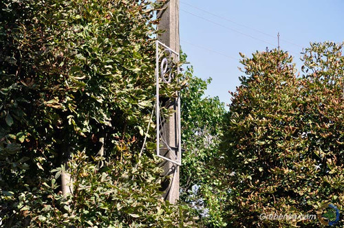 У Гребінці вуличну міську ілюмінацію крадуть вандали