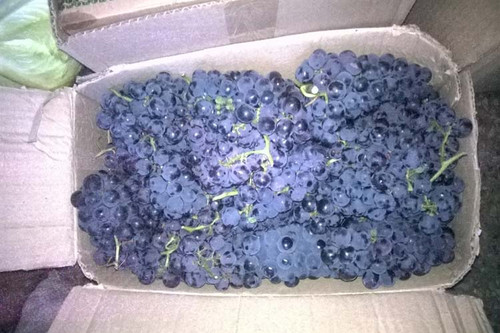 З Гребінківщини відправили чергову партію допомоги у зону АТО